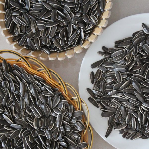 Amazon’s best-selling products Giant Sunflower Seeds For Bird Wholesale 25kg Bag Turkey Raw Seed In Bulk 5009