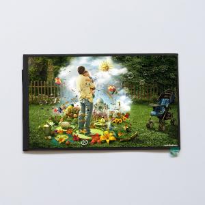 Wholesale Small 8 Inch TFT LCD Display Module With Touch Panel 800*1280 Dots Resolution from china suppliers
