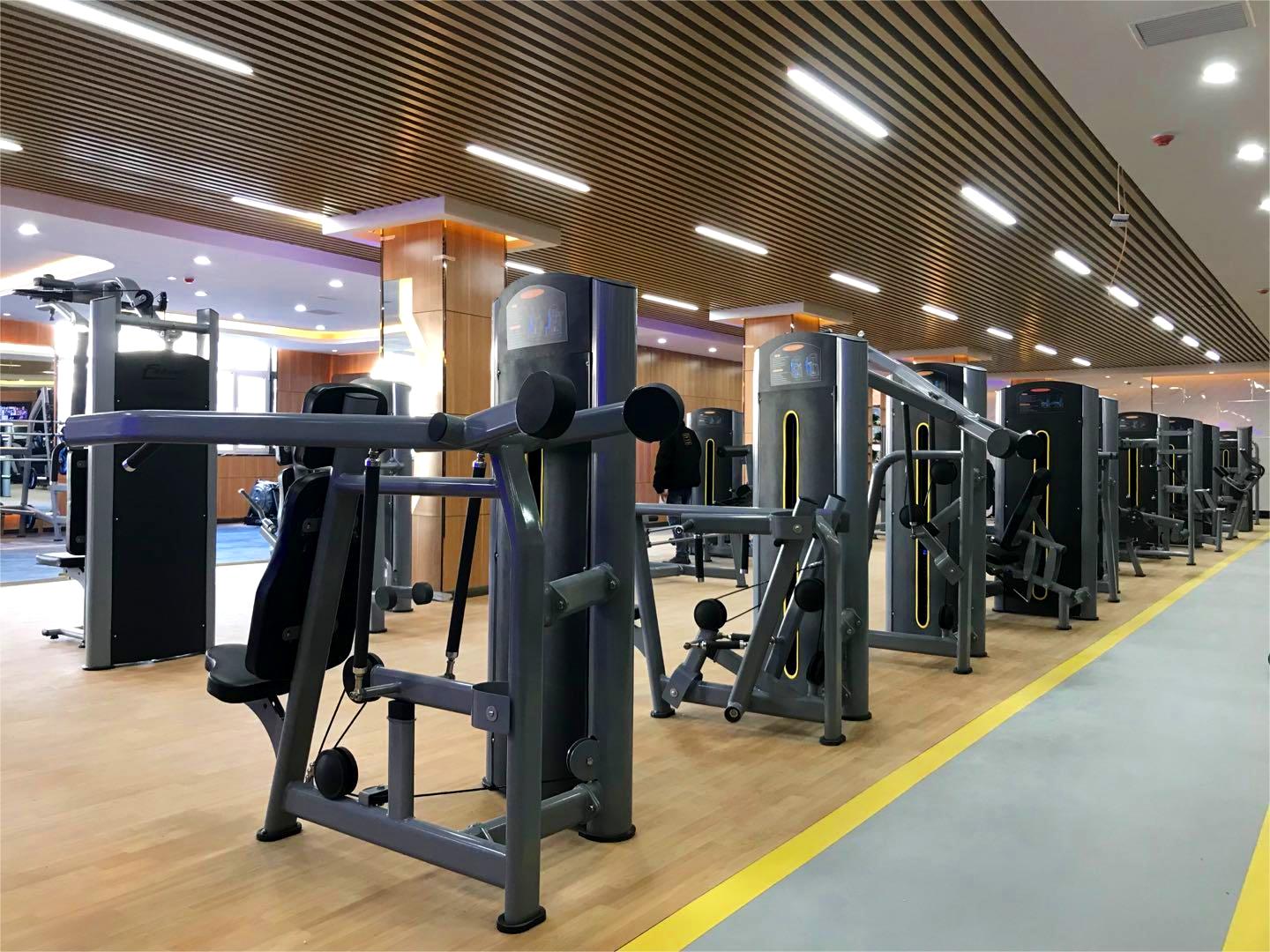 Commercial Indoor Gym Equipment: Adjustable Seated Steel Pin Load Machine for Fitness Body Building Training - Leg Curl Machine