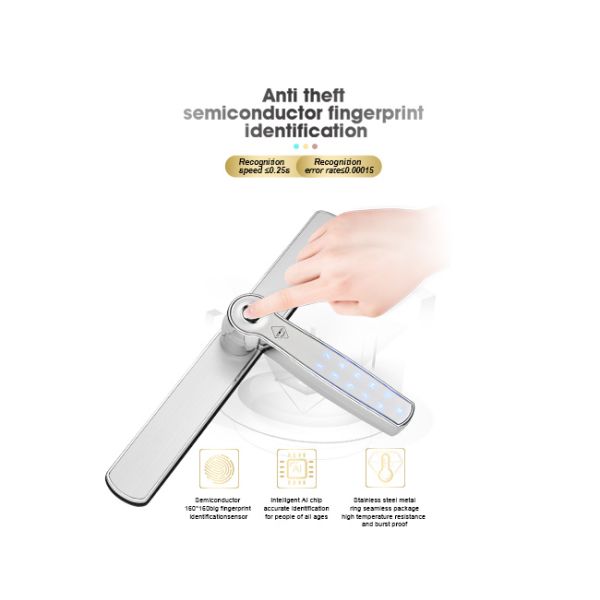 TTlock Biometric Keypad Password Code Rfid Bluetooth Gate Locks