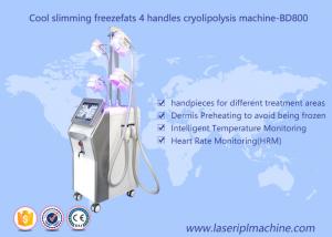 4 Handle Weight Loss Cryolipolysis Machine / Fat Freezing Vacuum Cavitation Slimming Machine