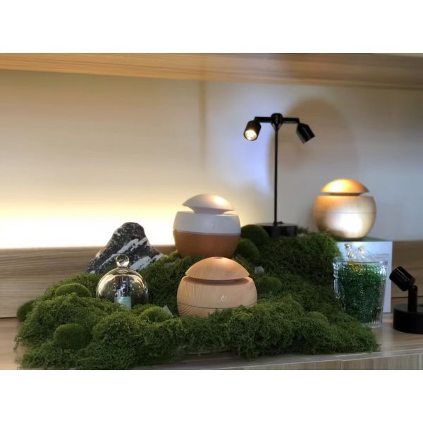 Multi-Functional Diffuser With Humidity Control And Ambient LED Lighting Options