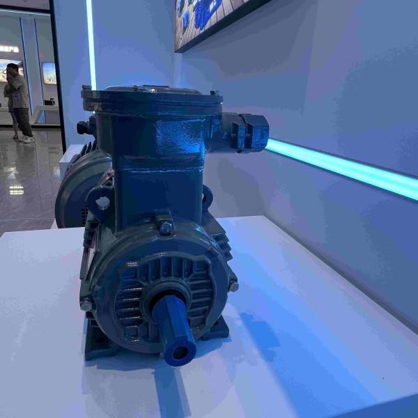 Quality Three Phase Medium Voltage Induction Motor High Voltage Explosion Proof for sale