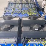 99.9% Accuracy PLC Control Plum Sorting Machine for Industrial Control System