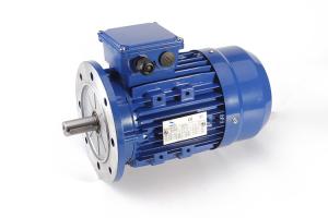 China Fuan Motor AC 3 Phase Induction Motor With Rolled Steel Cover on sale