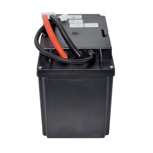 Wholesale 24V Pallet Truck Lithium Battery With 2-3 Hours Discharge Time For Warehouse Vehicles from china suppliers