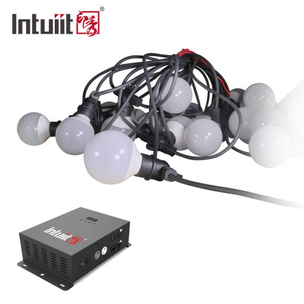Quality 240V Indoor LED Christmas Tree String Lights Built In Program for sale