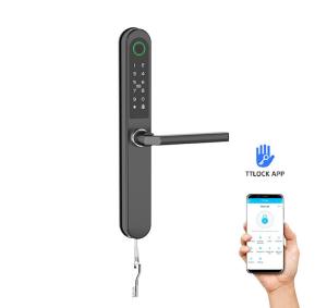China Finished Painted Rfid Door Lock Commercial Bluetooth WiFi Special Card / Code / Fingerprint / APP on sale