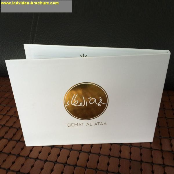 Muliti language 8gb tft Digital Video Brochure