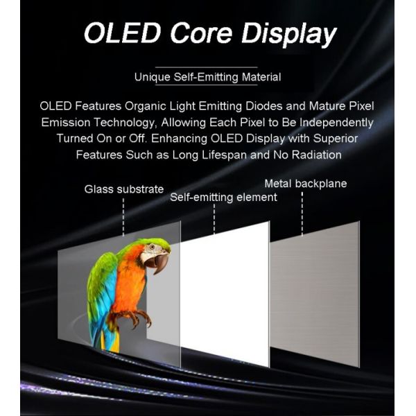 4K Transparent Oled Display Screen Flexible Oled Advertising Touch Screen With Panel Support 55 And 30 Inch For Window And Glass