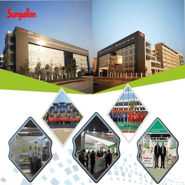 sungallon plastic (heyuan) company limited