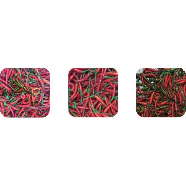 Shape Selection Chilli Color Separator Machine 400 - 600Kg/H 8.2kw Single / Double Layer