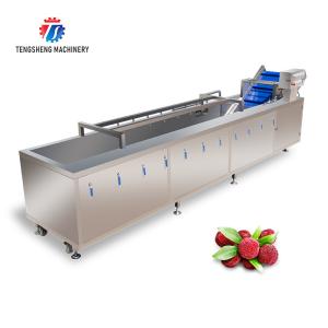 Wholesale 340KG Multi-functional vegetable washing machine large vegetable washing machine continuous type from china suppliers