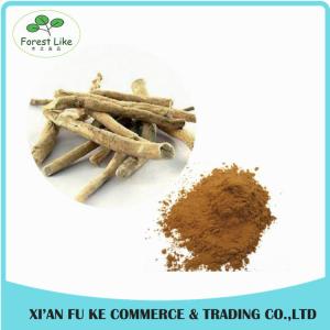 China Panama Ginseng Extract Ginsenosides on sale