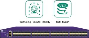 Wholesale Network Packet Broker with Tunneling Protocol Identify Net TAP with Data Deduplication from china suppliers