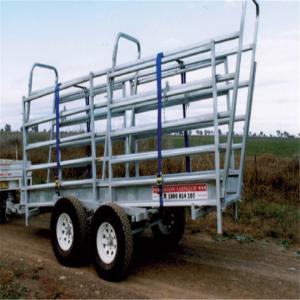 Australian Galvanized Cattle Loading Ramp / Mobile Cattle Loading Ramp Easy Installing