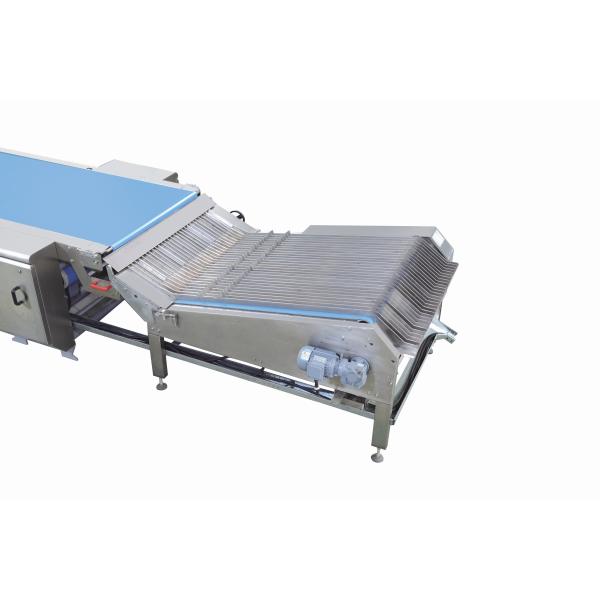 Small Model 400 MM Biscuit Making Machine Small Capacity Biscuit Production Line