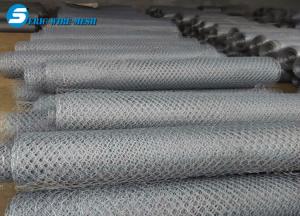 China China supplier PVC/PE/plastic coated hexagonal wire mesh on sale