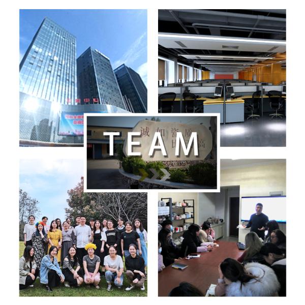 Creative Ocean Style Crystal Glass Shell Plate Decorative Salad Plate With Gold Rim