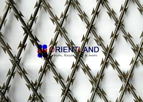 Quality High Tensile Core Security Razor Wire Fence 0.45mm Blade Thickness Difficult To Cut for sale