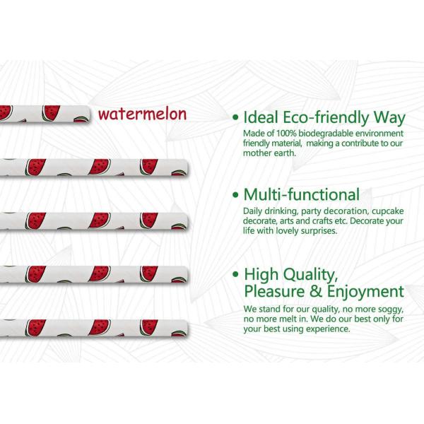 1/4 inch Beverage Watermelon Paper Straws For Juices Drinks