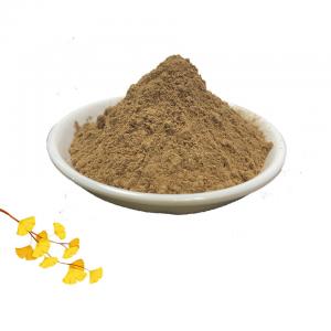 China Herb 24 Flavone Ginkgo Biloba Leaf Extract 6% Lactones on sale