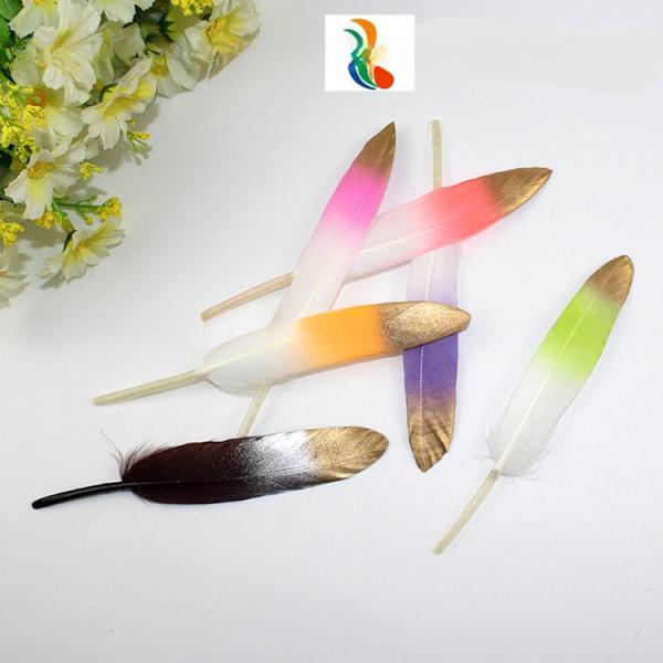 5-6inch Two Tones Millinery Feather , Colored Turkey Feathers For Fashionable Styles