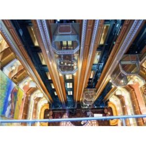 Wholesale FUJI 5 Persons Panoramic Elevator VVVF Drive In Supermarket from china suppliers