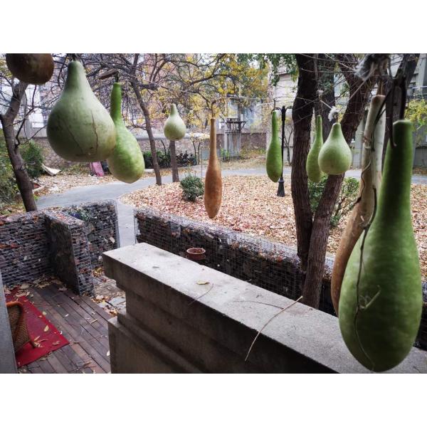 1mx0.5mx0.5m Galvanized Gabion Baskets Welded Decorating Garden