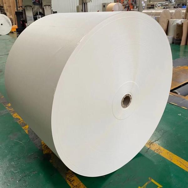 Waterproof PE Coated Paper Roll Custom Size High Bulk For Beverage Cup
