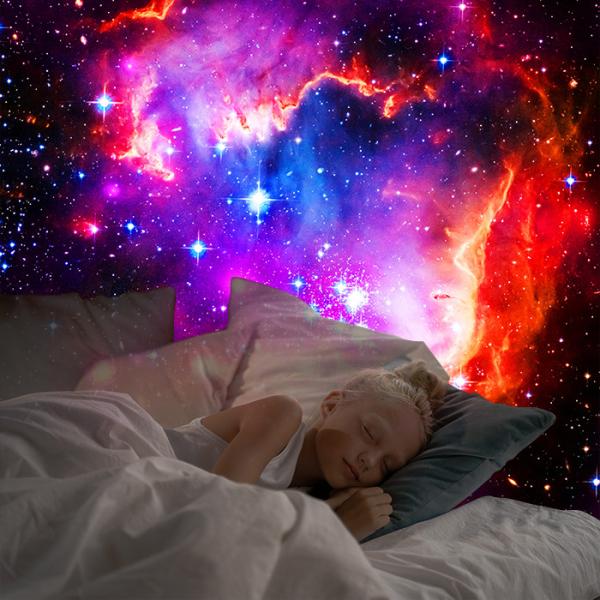 Portable ABS Planetarium Projector