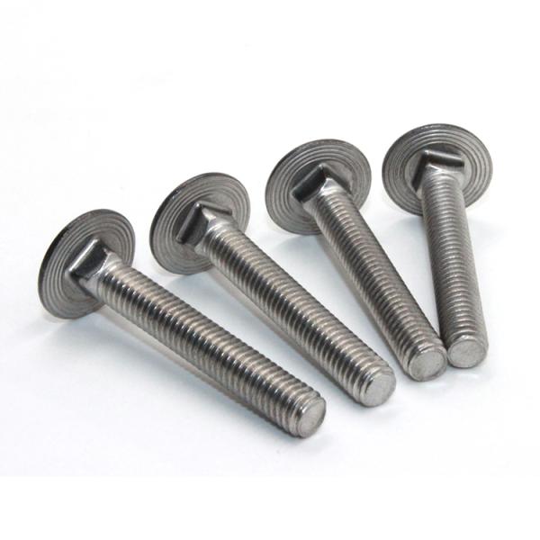 DIN 603 Galvanized Stainless Steel 304 Lock Bolts Nuts M8 Size Mushroom Head Square Neck Cup Socket