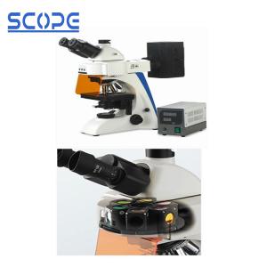 China Infinity Optical Trinocular Biological Microscope , Trinocular Compound Microscope on sale