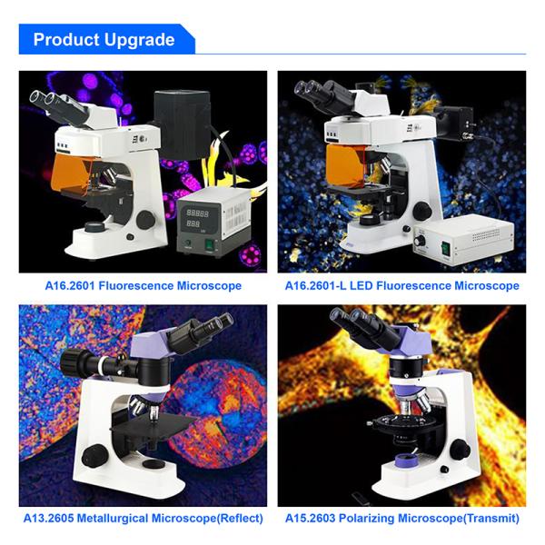 LED A12.2601-BT 400X Student Compound Microscope WF10x High Precision