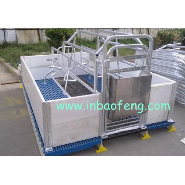 Anti Rust Pig Farrowing Crates For Animals Galvanized Pipe And PE Plate Materials