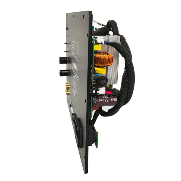 Professional 250W Class D Subwoofer Plate Amplifier with 20-200 Hz Frequency Response and