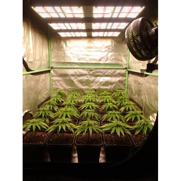 720w Hydroponic Ir Uvb Garden Grow Light Dropship Ip65 Waterproof 660nm Red 4