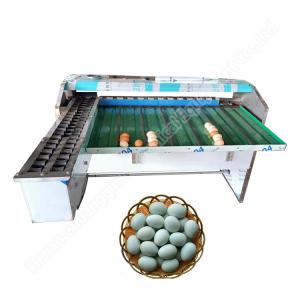 Wholesale Egg Grader Sorter Egg Weighing Grading Machine Chicken Duck Egg Grading Sorting Machine from china suppliers