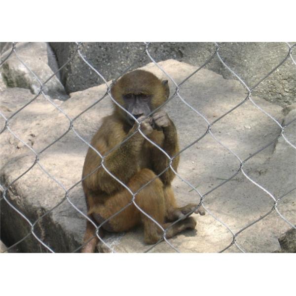 316 Stainless Steel Aviary Netting Flexible Bird For Animals In Zoo