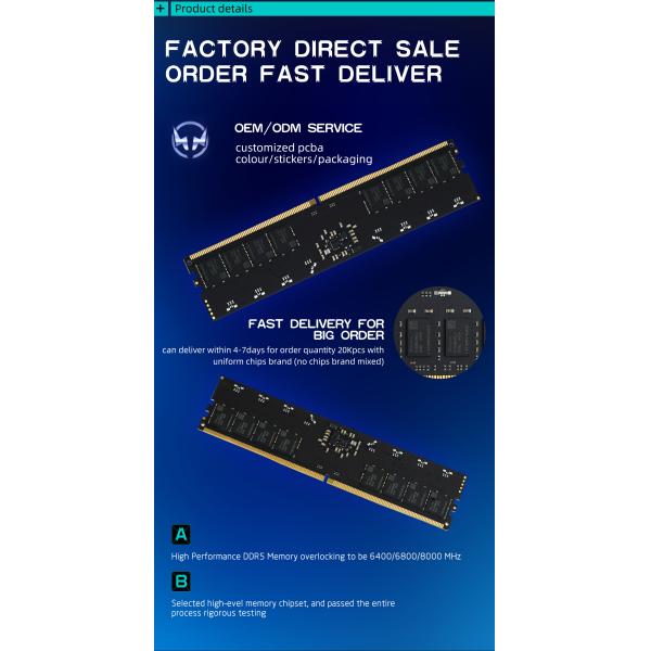 LASTINGIN DDR5 RAM 32GB 4800MHz ECC Memory Module