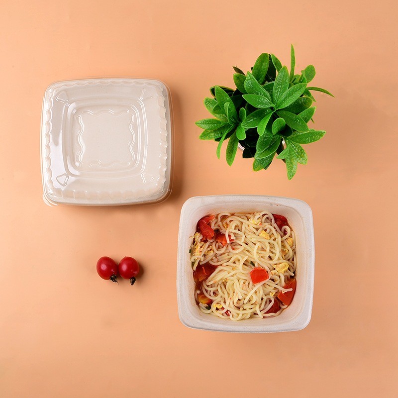 Reusable Custom Molded Pulp Packaging Printing Food Packing Box