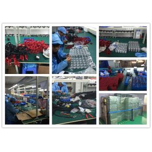 GREEN LIGHTING TECHNOLOGY CO.,LTD