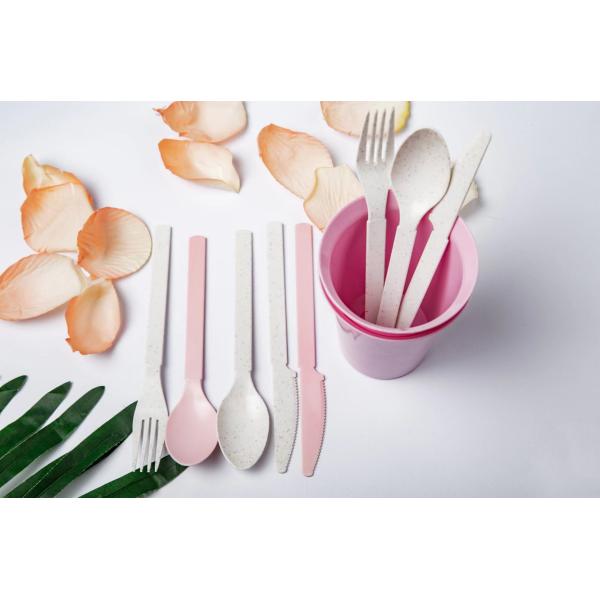 Natural White Color PLA Plastic Granules Environmentally And Biodegradable