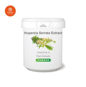 China Natural Herbal Extract Huperzia Serrata Extract Huperzine Powder on sale