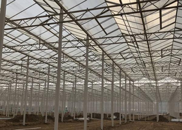 Quality Sided Ventilated Cooling Pad Multi Span Pc Sheet Greenhouse for sale