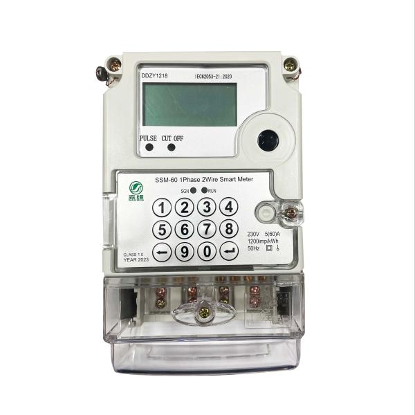Modbus/STS Communication Protocol Anti-Tamper Token Meter for Wall Mounting and