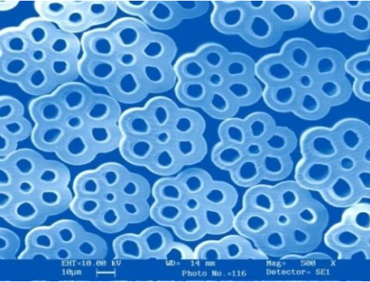 INVISTA Polyester Fibre Wadding Antibacterial Cotton For The Elderly Infants Clothes