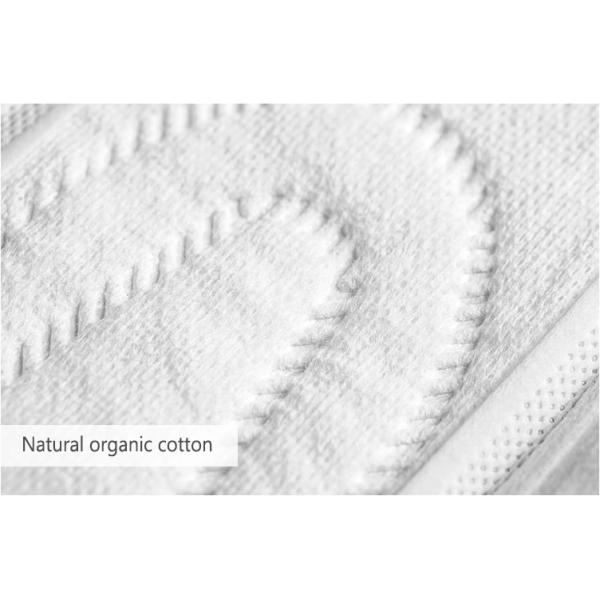 Organic Biodegradable Anion Chip Overnight Sanitary Napkins