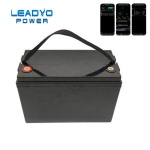 Wholesale 12V 100Ah Leadyo Battery RV Deep Cycle Lifepo4 Battery WIth Monitor APP from china suppliers