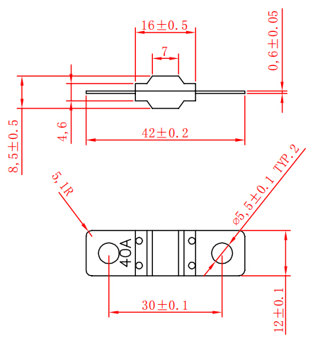 Ans Automobile Fuse M5 M6 Bolt Fixed Fuse 32V 30A 40A 70A 80A 100A 200A Midi Bolt Automobile Fuse